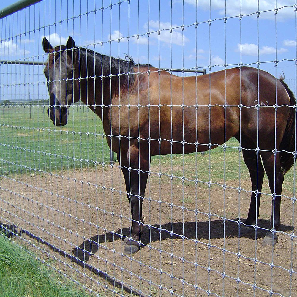 Field Fence