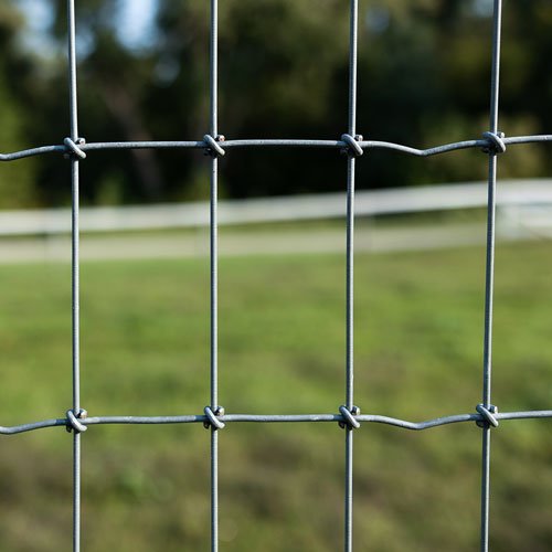 Field Fence
