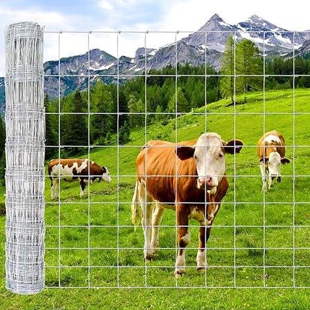 Field Fence