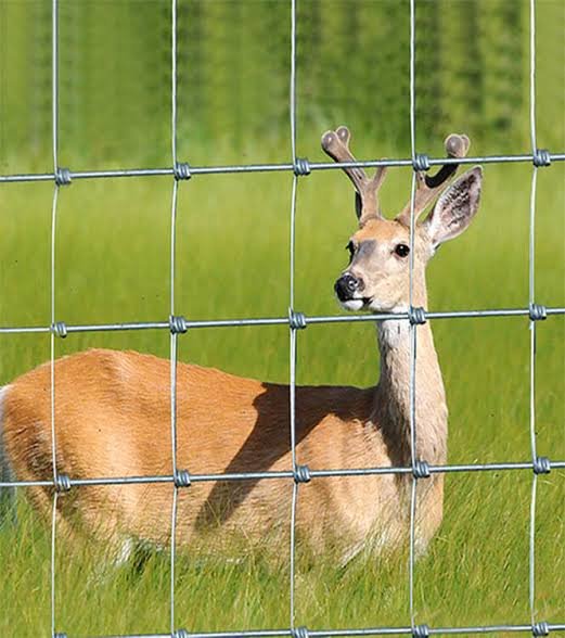 Field Fence